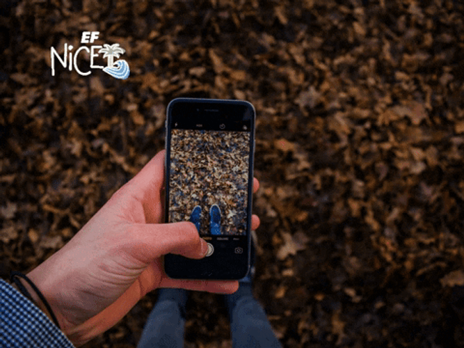 Best Smartphone Texting German Message GIF