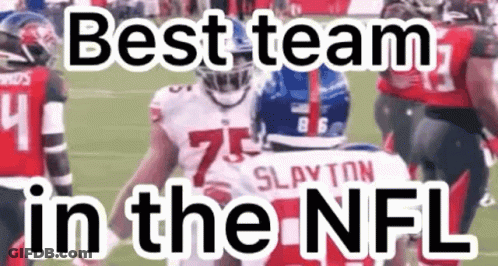 Best Team In The NFL Football Players GIF