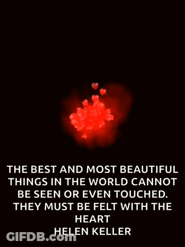 Best Things Cannot Be Seen Helen K GIF
