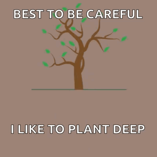 Best To Be Careful Tree Root Increase GIF