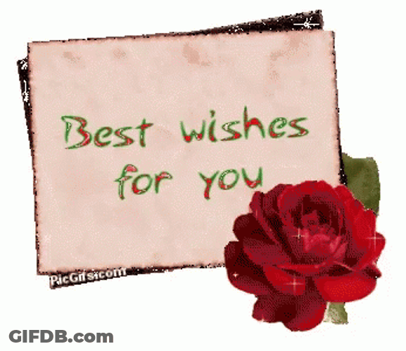 Best Wishes For You GIF