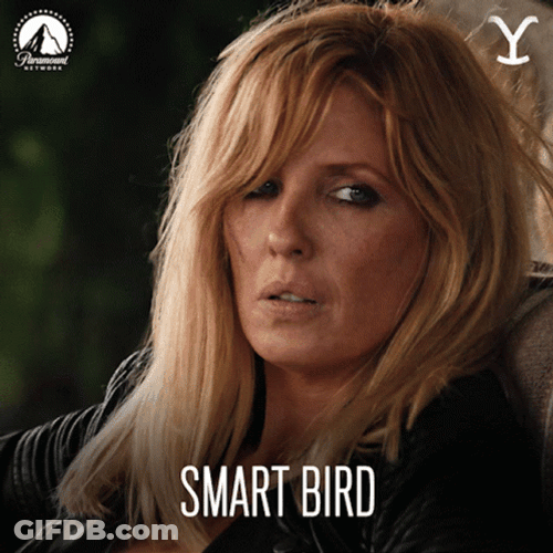 Beth Dutton Smart Bird Kelly Reilly GIF