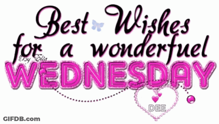 Bets Wishes For Wednesday GIF