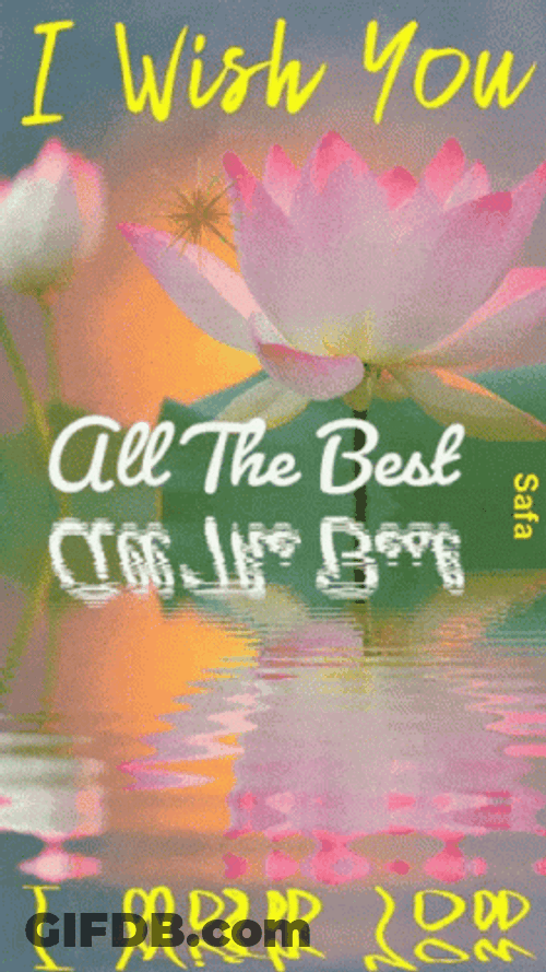 Bets Wishes Wishing You All The Best GIF