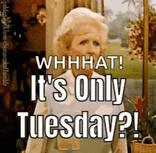 Betty White Funny Tuesday Reaction GIF