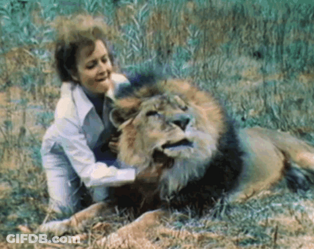 Betty White Zomba The Lion GIF
