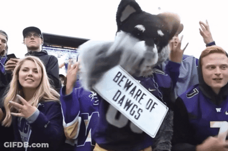 Beware Of Dawgs Washington Huskies Mascot GIF