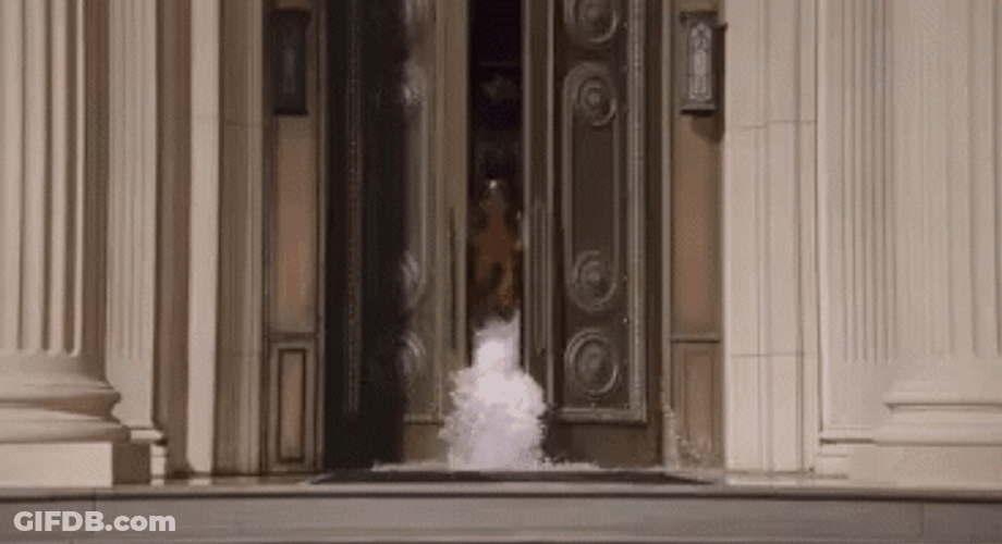 Beyonce Flooded The Entrance GIF