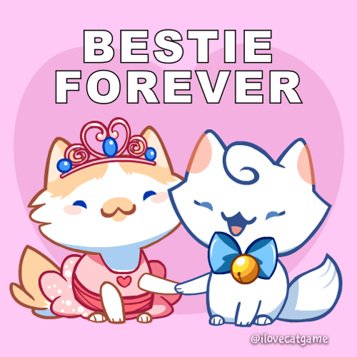 Bffr Bestie Forever Cats GIF