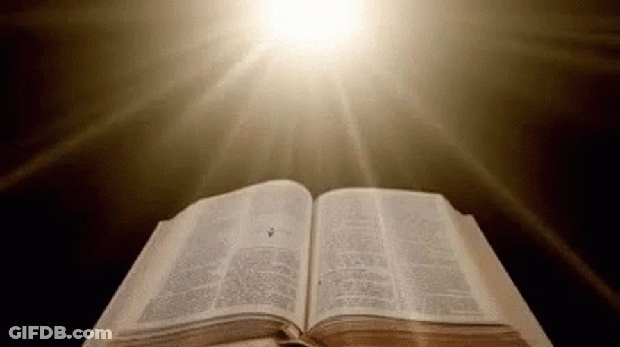 Bible Holy Light Rays Open Book GIF