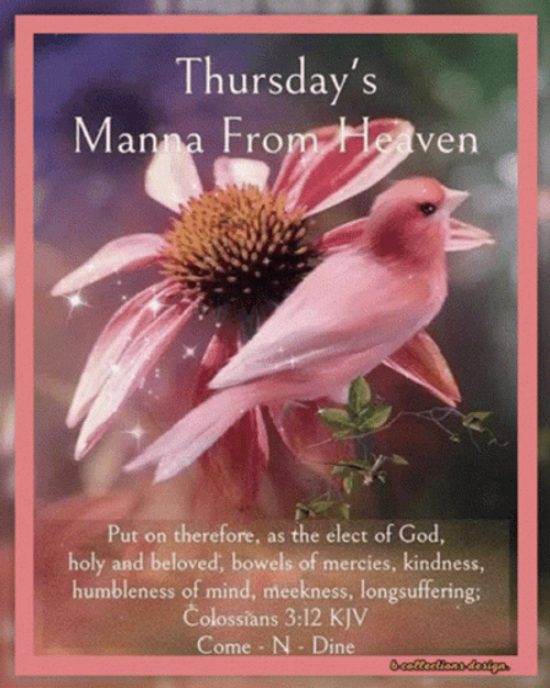 Bible Verse Colossian 3:12 Good Morning Blessings GIF