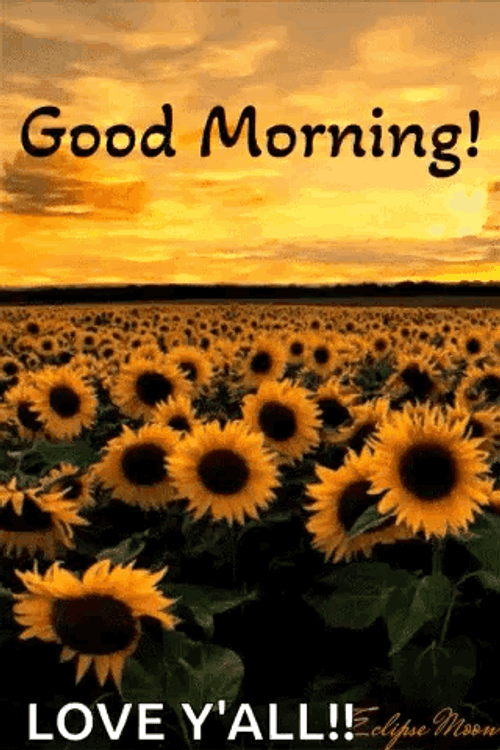 Bible Verse Good Morning Blessings Love You All GIF