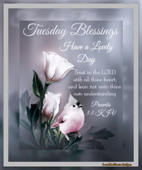 Bible Verse Good Morning Tuesday Blessings GIF