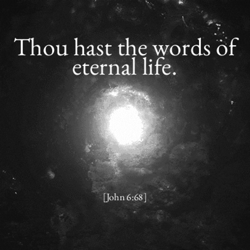 Bible Verse John Six Sixty Eight GIF