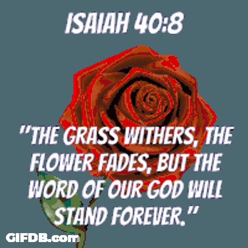Bible Verse Scripture Sticker GIF