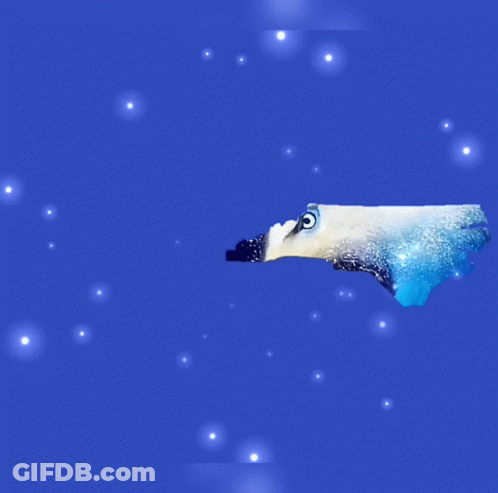 Biden For North Carolina Poster GIF