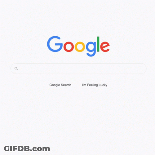 Biden Search Google Or Type A Url Meme GIF