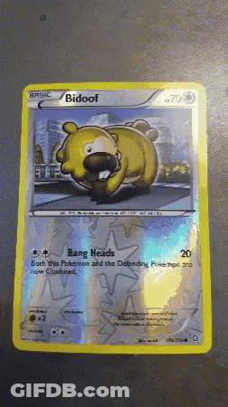 Bidoof Bidoofbidoof GIF