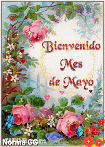 Bienvenido Mayo Greeting Card With Roses And Butterflies GIF