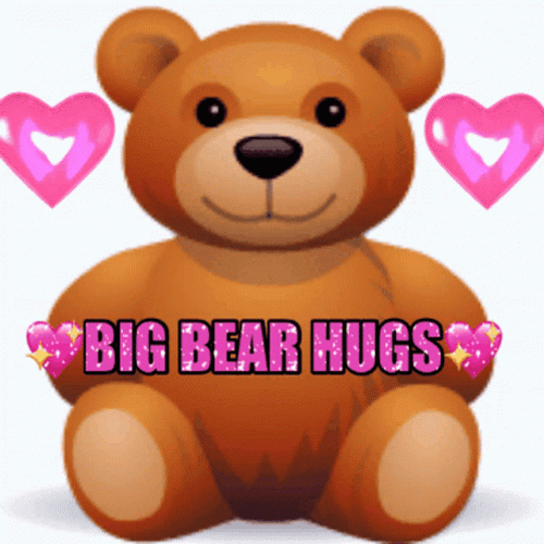 Big Bear Hugs GIF