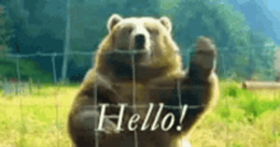 Big Bear Waving Bonjour GIF