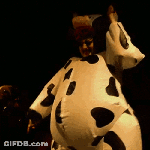 Big Belly Moo Body Suit GIF
