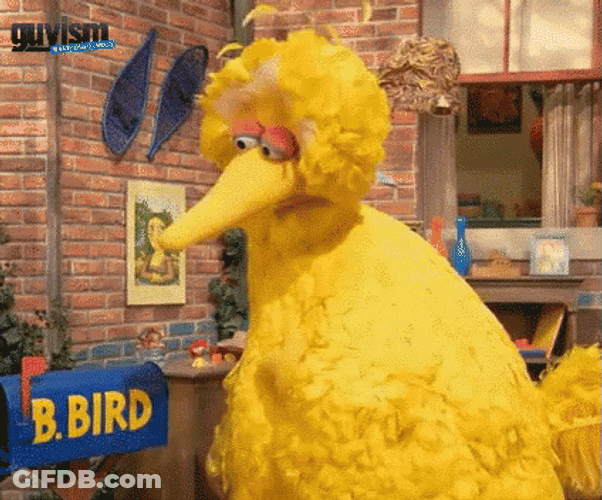 Big Bird GIF