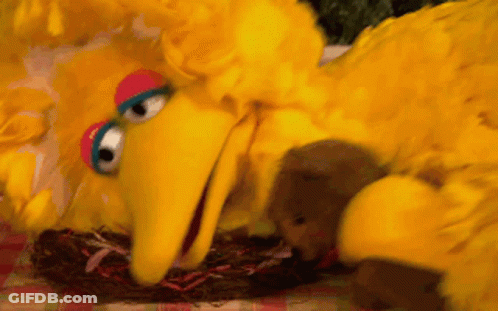 Big Bird From Sesame Street Is Laying On A Checkered Table Cloth GIF