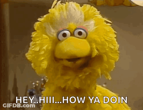 Big Bird From Sesame Street Is Saying " Hey Iiii How Ya Doin " GIF