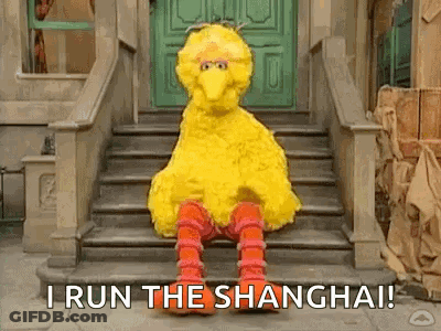 Big Bird From Sesame Street Is Sitting On A Set Of Stairs And Says `` I Run The Shanghai '' . GIF