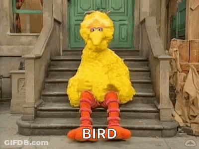 Big Bird From Sesame Street Is Sitting On The Stairs Of A Building . GIF