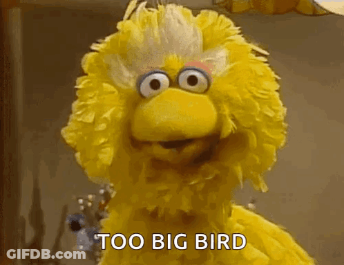 Big Bird From Sesame Street Is Standing In Front Of A Window And Saying Too Big Bird . GIF