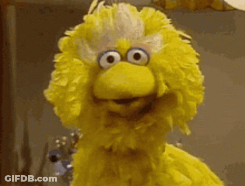 Big Bird From Sesame Street Looking Serious GIF
