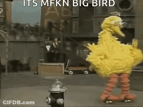 Big Bird From Sesame Street Riding Roller Skates GIF