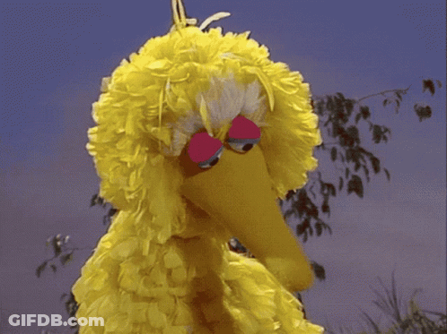 Big Bird From Sesame Street Says " I 'M So Confused " In Front Of A Tree GIF