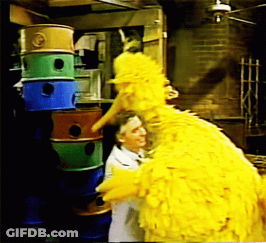 Big Bird Hugging A Guest GIF