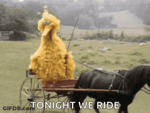 Big Bird Is Riding In A Horse Drawn Carriage With The Words Tonight We Ride Below Him GIF
