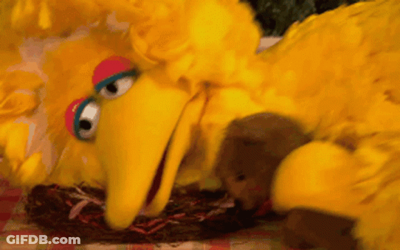 Big Bird Lying On The Floor GIF