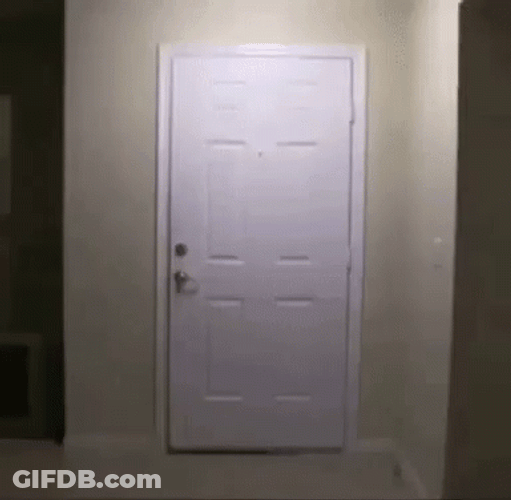 Big Bird GIF