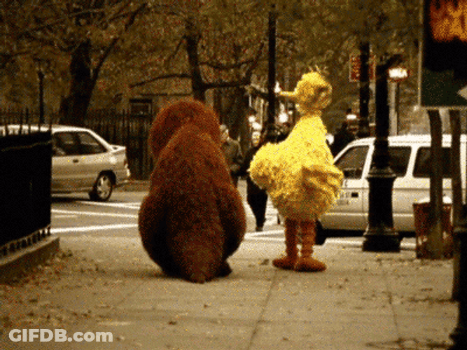 Big Bird Mr. Snuffleupagus Walking In Street GIF