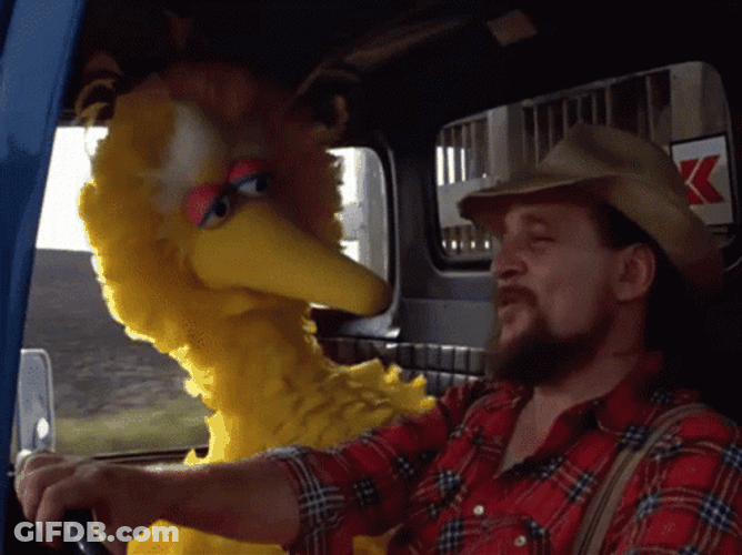 Big Bird GIF