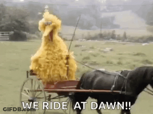 Big Bird Riding Carriage Pulled By Horse GIF