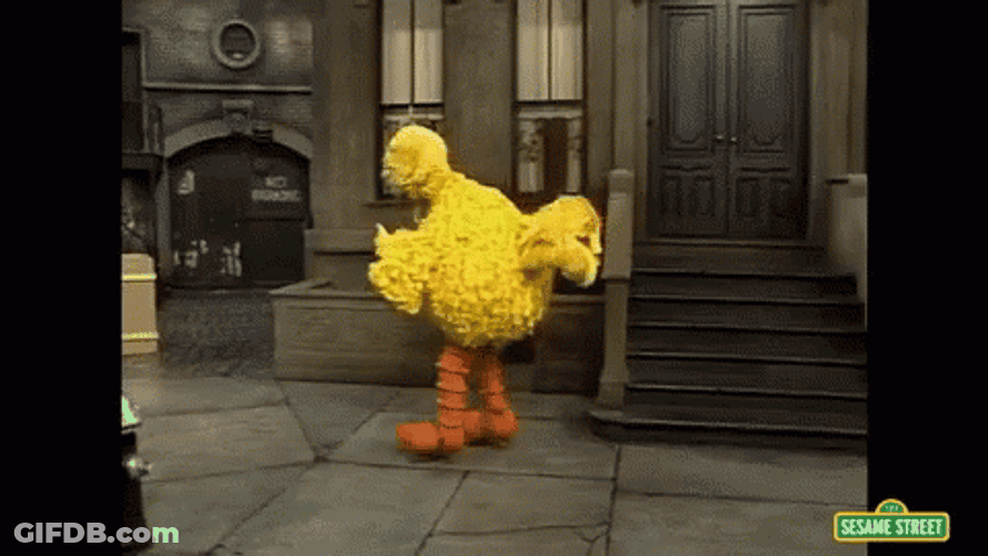 Big Bird Roller Skating GIF
