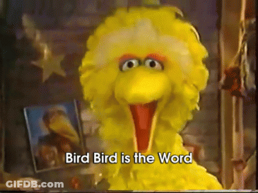 Big Bird Says Bird Bird Is The Word GIF