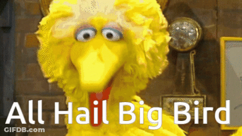 Big Bird Sesame Street All Hail Big Bird GIF