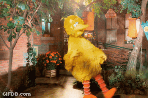 Big Bird Sesame Street Brick Wall GIF