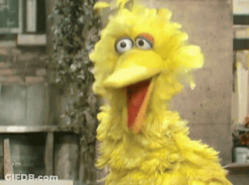 Big Bird Sesame Street Red Beak Big Eyes GIF