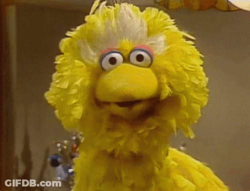 Big Bird Sesame Street Yellow Big Eyes Pink Nose GIF