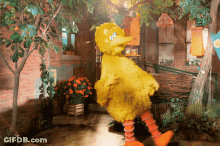 Big Bird Slow Motion Side Jump GIF