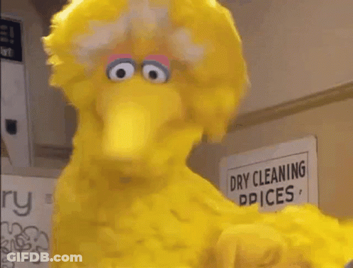 Big Bird Standing At Dry Cleaning Sign GIF